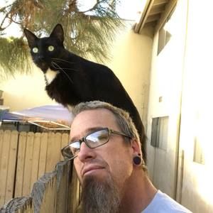 Meet your Posher, Donald